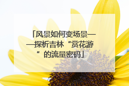 风景如何变场景——探析吉林“赏花游”的流量密码