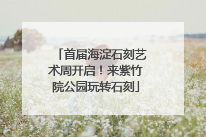 首届海淀石刻艺术周开启!来紫竹院公园玩转石刻
