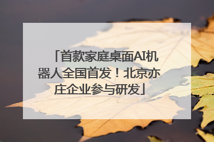 首款家庭桌面AI机器人全国首发！北京亦庄企业参与研发
