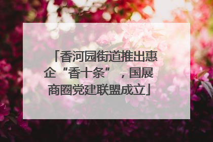 香河园街道推出惠企“香十条”，国展商圈党建联盟成立