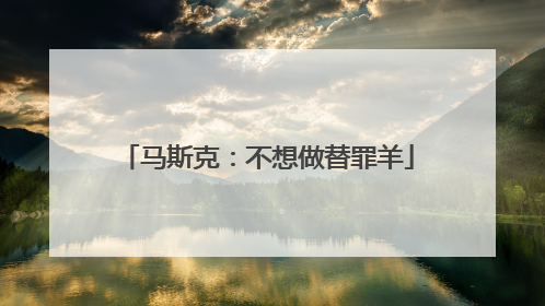 马斯克：不想做替罪羊