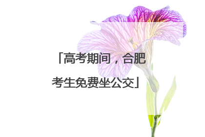 高考期间，合肥考生免费坐公交