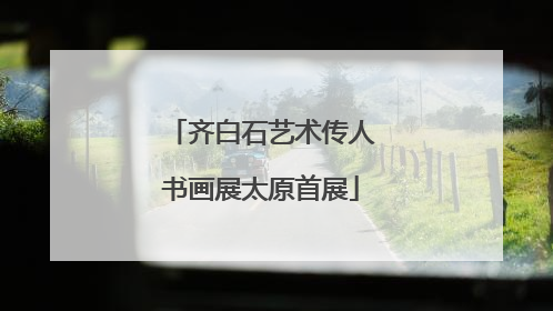 齐白石艺术传人书画展太原首展