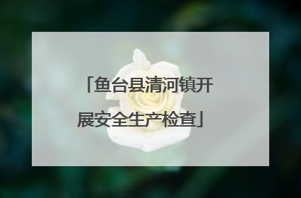 鱼台县清河镇开展安全生产检查