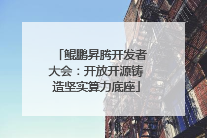 鲲鹏昇腾开发者大会：开放开源铸造坚实算力底座