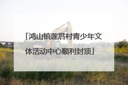 鸿山镇莲厝村青少年文体活动中心顺利封顶