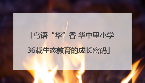 鸟语“华”香 华中里小学36载生态教育的成长密码