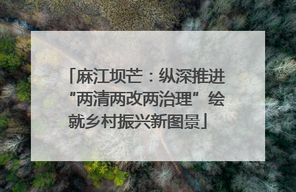 麻江坝芒：纵深推进“两清两改两治理”绘就乡村振兴新图景