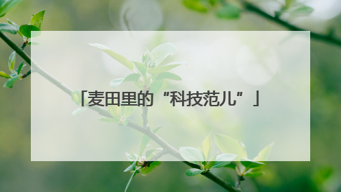 麦田里的“科技范儿”