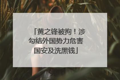 黄之锋被拘！涉勾结外国势力危害国安及洗黑钱