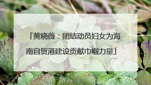 黄晓薇：团结动员妇女为海南自贸港建设贡献巾帼力量