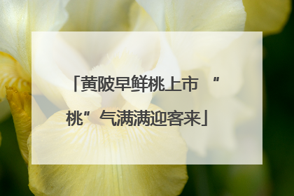 黄陂早鲜桃上市 “桃”气满满迎客来