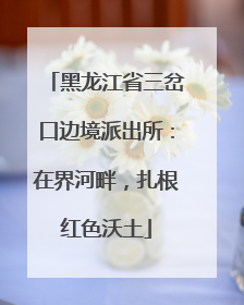 黑龙江省三岔口边境派出所：在界河畔，扎根红色沃土