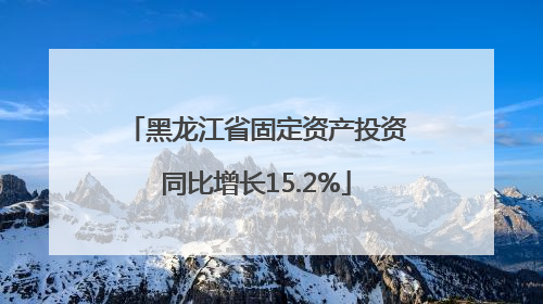 黑龙江省固定资产投资同比增长15.2%