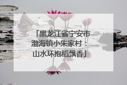 黑龙江省宁安市渤海镇小朱家村：山水环抱稻飘香