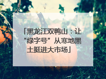 黑龙江双鸭山：让“绿字号”从寒地黑土挺进大市场