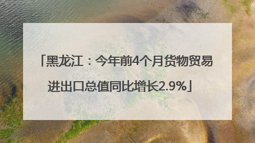 黑龙江：今年前4个月货物贸易进出口总值同比增长2.9%