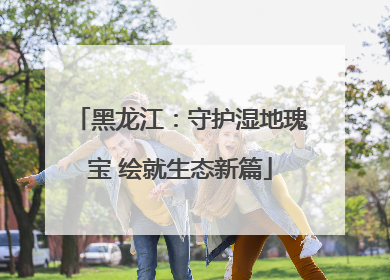 黑龙江：守护湿地瑰宝 绘就生态新篇