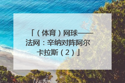 （体育）网球——法网：辛纳对阵阿尔卡拉斯（2）