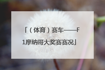 （体育）赛车——F1摩纳哥大奖赛赛况