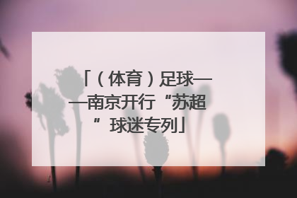 （体育）足球——南京开行“苏超”球迷专列