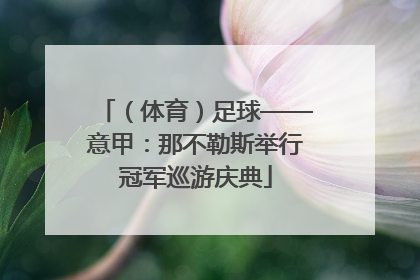 （体育）足球——意甲：那不勒斯举行冠军巡游庆典