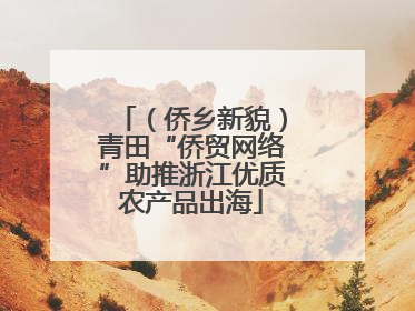 （侨乡新貌）青田“侨贸网络”助推浙江优质农产品出海