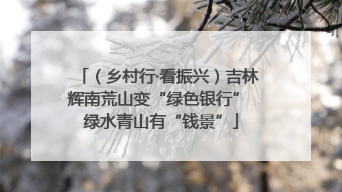 （乡村行·看振兴）吉林辉南荒山变“绿色银行” 绿水青山有“钱景”