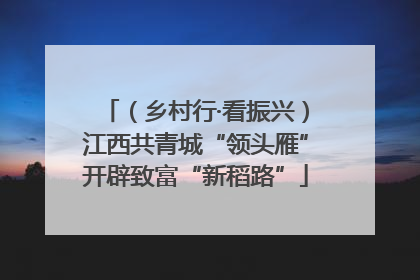 （乡村行·看振兴）江西共青城“领头雁”开辟致富“新稻路”