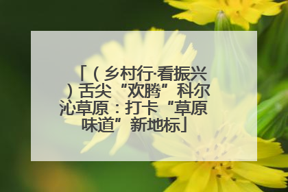 （乡村行·看振兴）舌尖“欢腾”科尔沁草原：打卡“草原味道”新地标