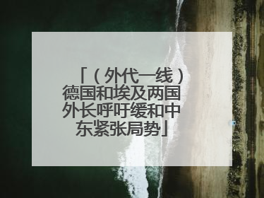 （外代一线）德国和埃及两国外长呼吁缓和中东紧张局势