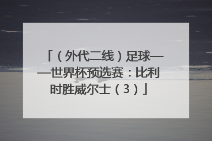 （外代二线）足球——世界杯预选赛：比利时胜威尔士（3）