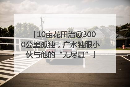 10亩花田治愈3000公里孤独，广水独眼小伙与他的“无尽夏”