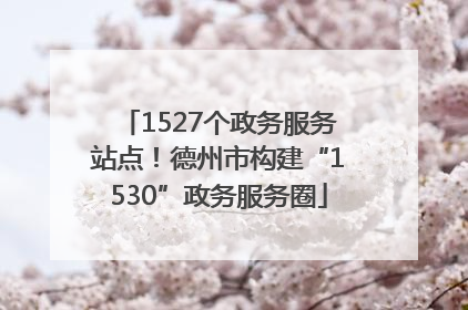 1527个政务服务站点！德州市构建“1530”政务服务圈