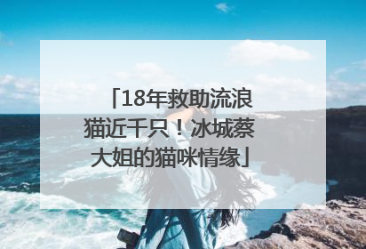 18年救助流浪猫近千只！冰城蔡大姐的猫咪情缘