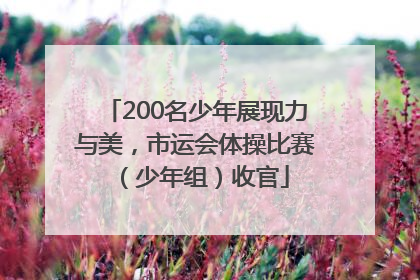 200名少年展现力与美，市运会体操比赛（少年组）收官