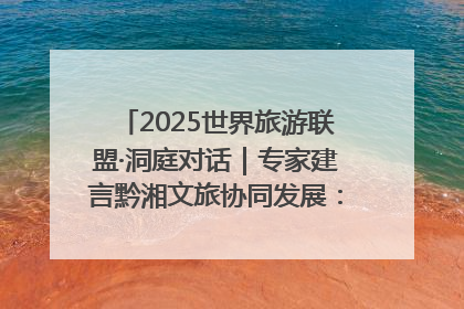 2025世界旅游联盟·洞庭对话｜专家建言黔湘文旅协同发展：聚焦产品稀缺性 深化区域经验共享
