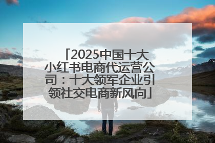 2025中国十大小红书电商代运营公司：十大领军企业引领社交电商新风向