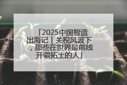2025中国智造出海记丨关税风波下，那些在世界最前线开疆拓土的人