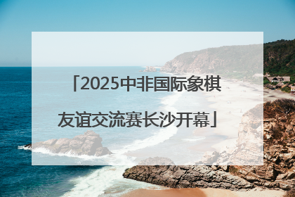 2025中非国际象棋友谊交流赛长沙开幕