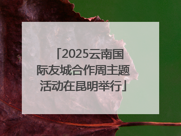 2025云南国际友城合作周主题活动在昆明举行