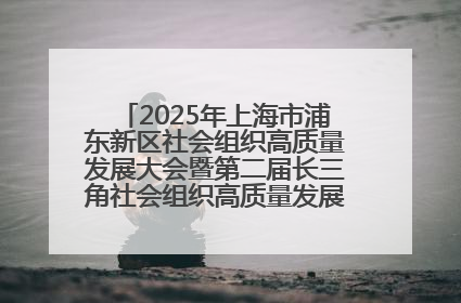 2025年上海市浦东新区社会组织高质量发展大会暨第二届长三角社会组织高质量发展峰会成功举办