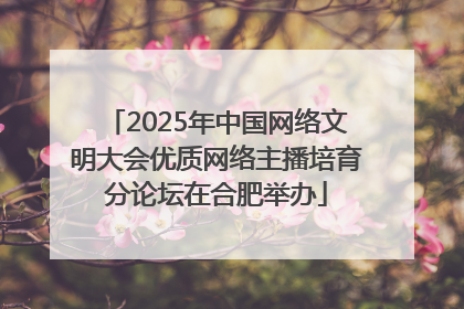 2025年中国网络文明大会优质网络主播培育分论坛在合肥举办