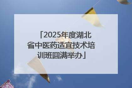 2025年度湖北省中医药适宜技术培训班圆满举办