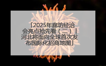 2025年廊坊经洽会亮点抢先看（二）丨河北将面向全球首次发布国际化招商地图