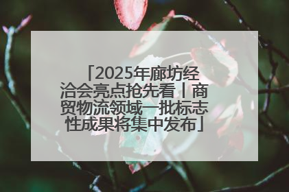 2025年廊坊经洽会亮点抢先看丨商贸物流领域一批标志性成果将集中发布