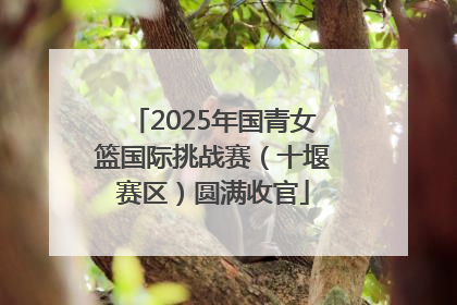 2025年国青女篮国际挑战赛（十堰赛区）圆满收官