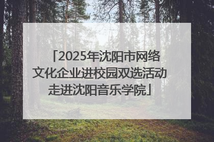 2025年沈阳市网络文化企业进校园双选活动走进沈阳音乐学院