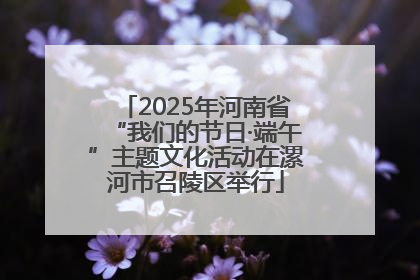 2025年河南省“我们的节日·端午”主题文化活动在漯河市召陵区举行