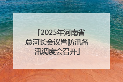 2025年河南省总河长会议暨防汛备汛调度会召开